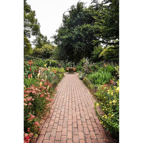 A Comprehensive Guide to Creating an Australian Native Garden