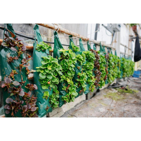 Maximizing Space: How to Create a Thriving Vertical Garden