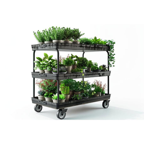 Your Guide to Versatile Plants!