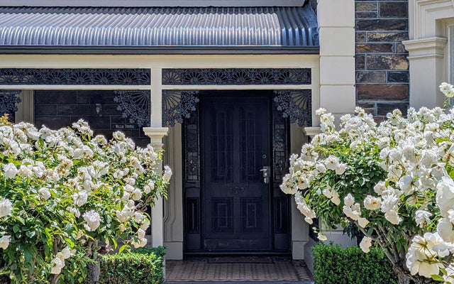 Rose Care Guide for Australian Gardens