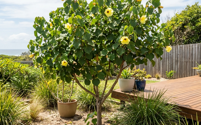 How to Upgrade Your Garden for Entertaining