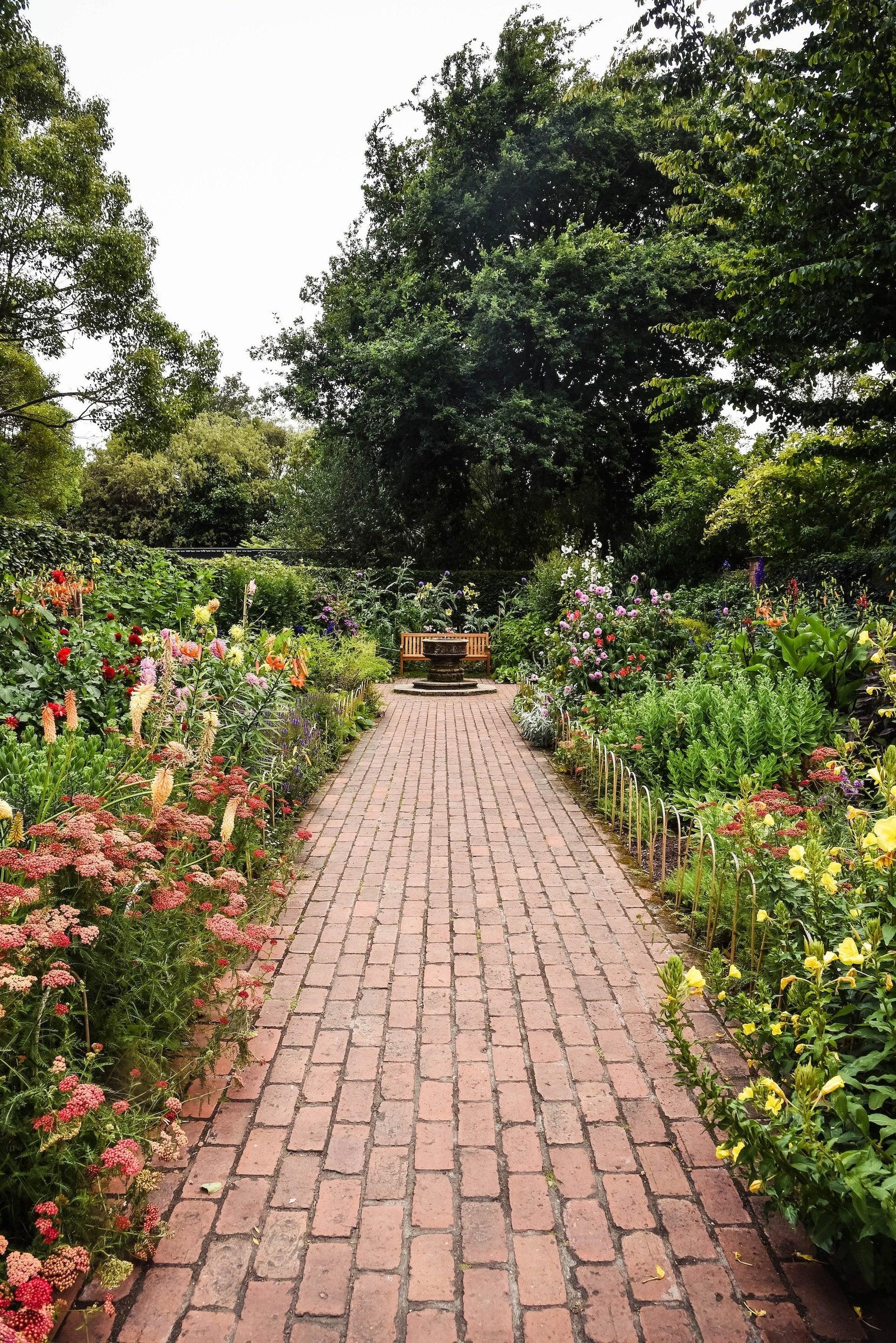 A Comprehensive Guide to Creating an Australian Native Garden - Brisbane Plant Nursery