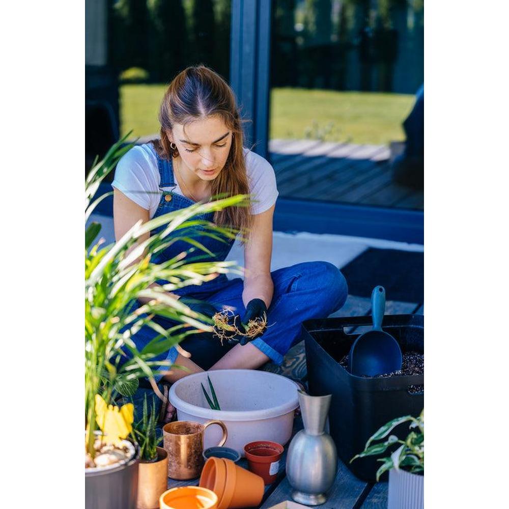 Mental Benefits of Gardening in 2025