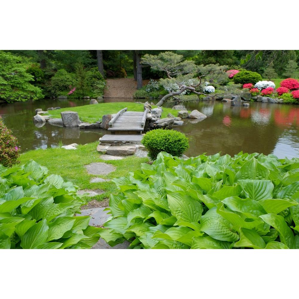 Themed Gardens: Discover Their Unique Charm