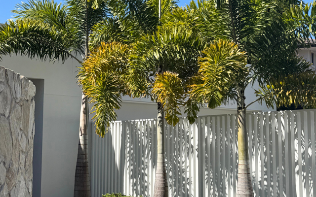 Designing a Tropical Garden That Looks Lush Year-Round