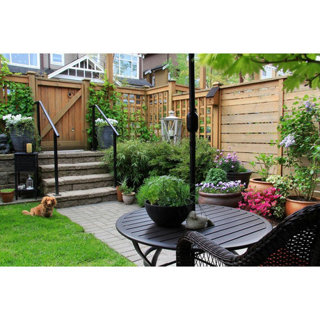 Discover the Top Plants for Urban Gardeners 2025