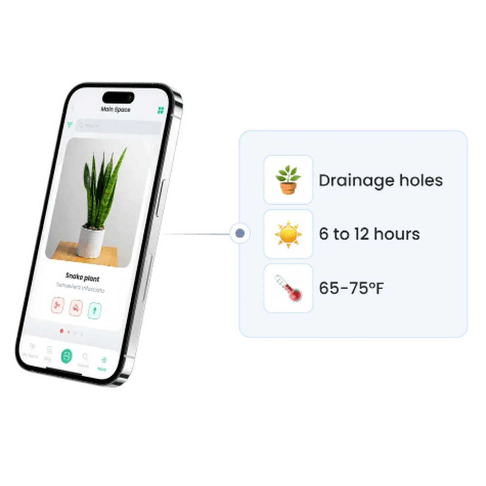 Best Plant Identifier App and Web Tool to Identify by Picture