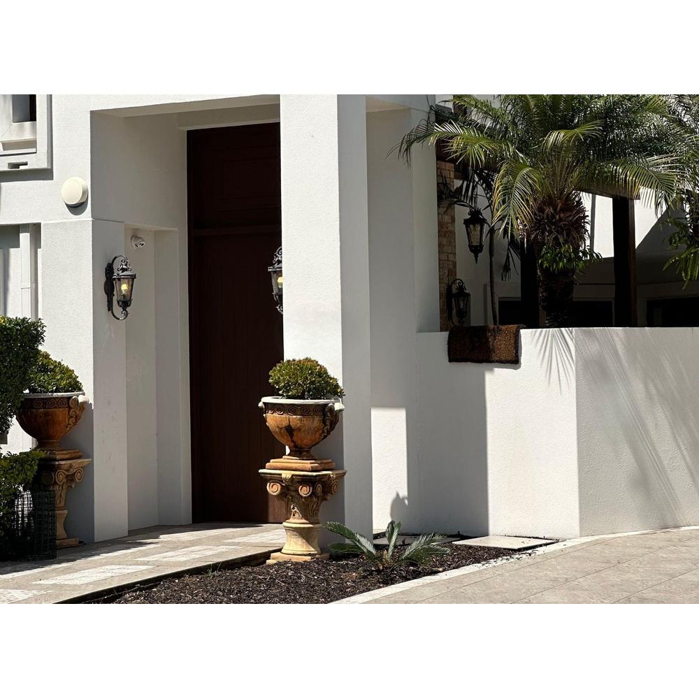 Rendered house entry with a dark timber door, clipped topiary in stone urns and palms in gravel