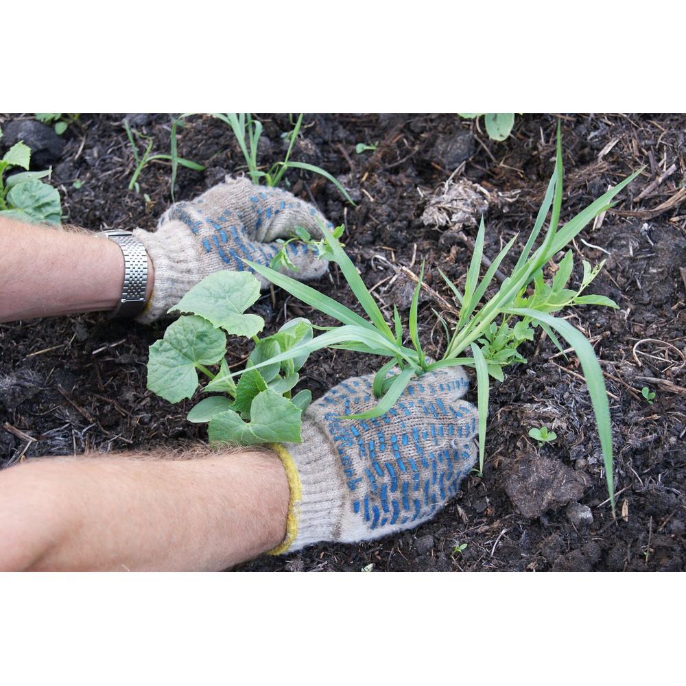How to Avoid Weeds in Your Garden: Top Tips