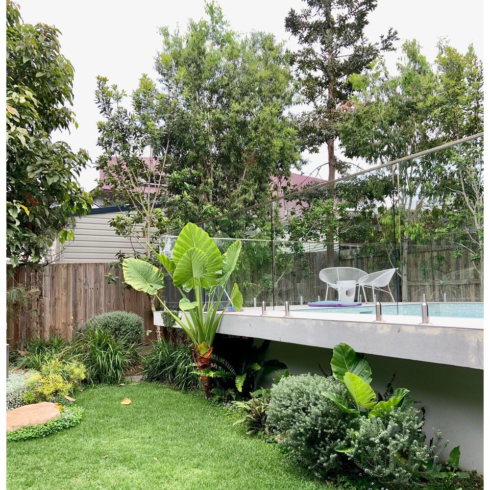 Discover the Hottest Plants of 2024: A Garden Trend Guide  Nursery Near Me