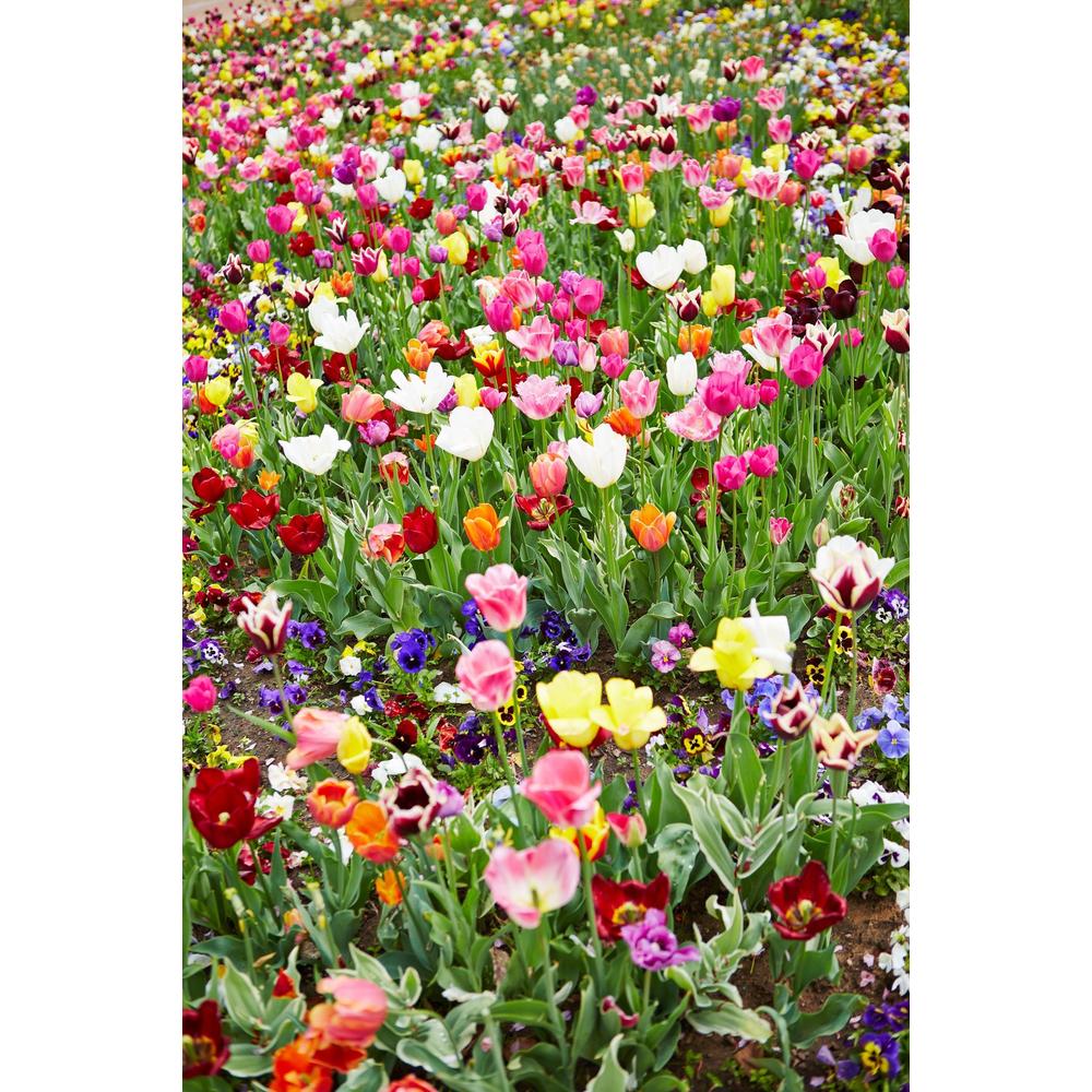 Discover the Secret to Long Lasting Blooms in Your Garden
