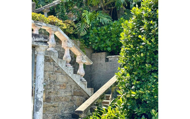 Planting an Outdoor Staircase: Plants That Suit Steps