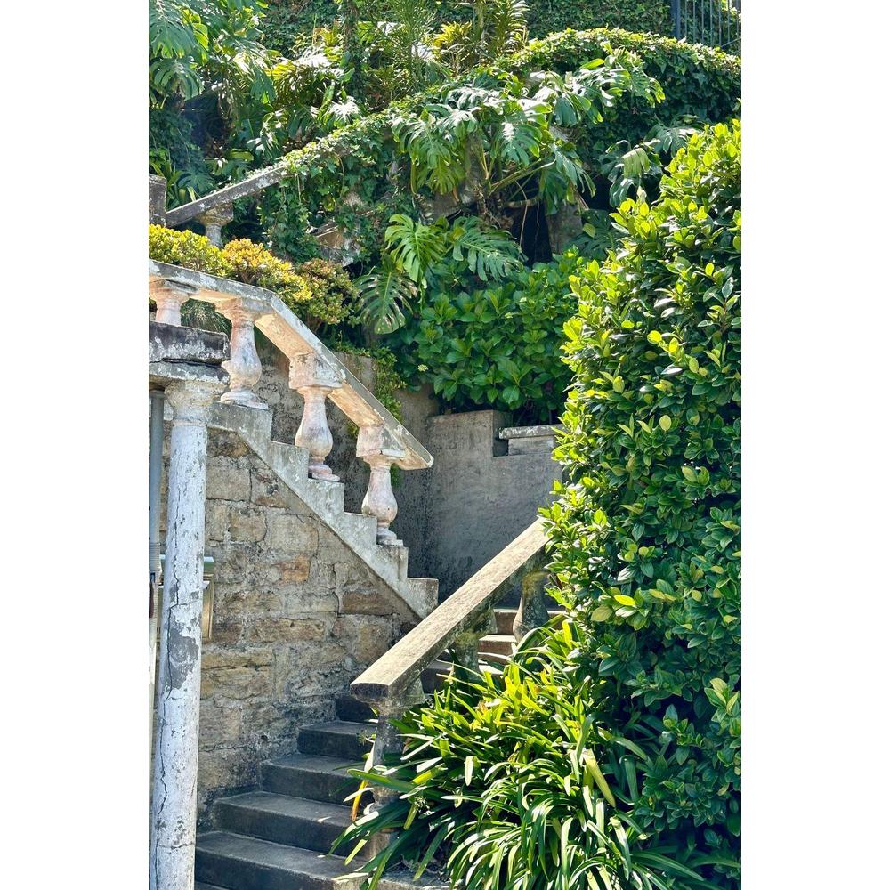 Transform Your Outdoor Staircase with Stunning Plants