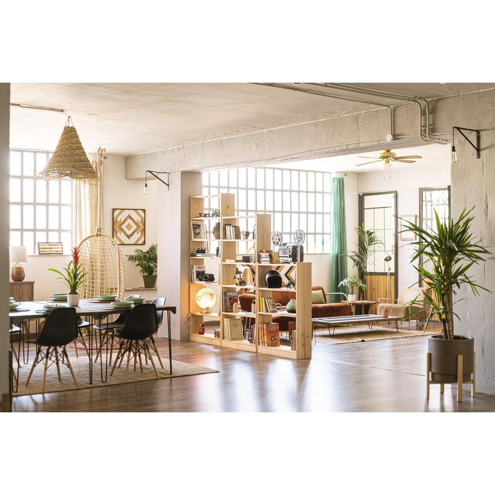 Indoor Plants: Style Tips for Every Room