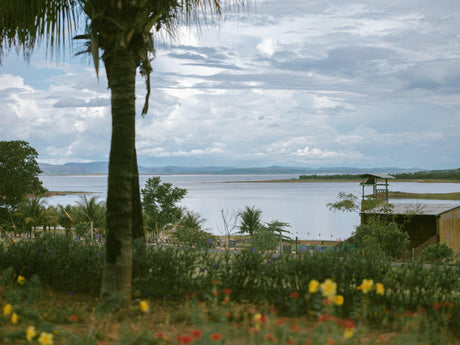 coastal garden