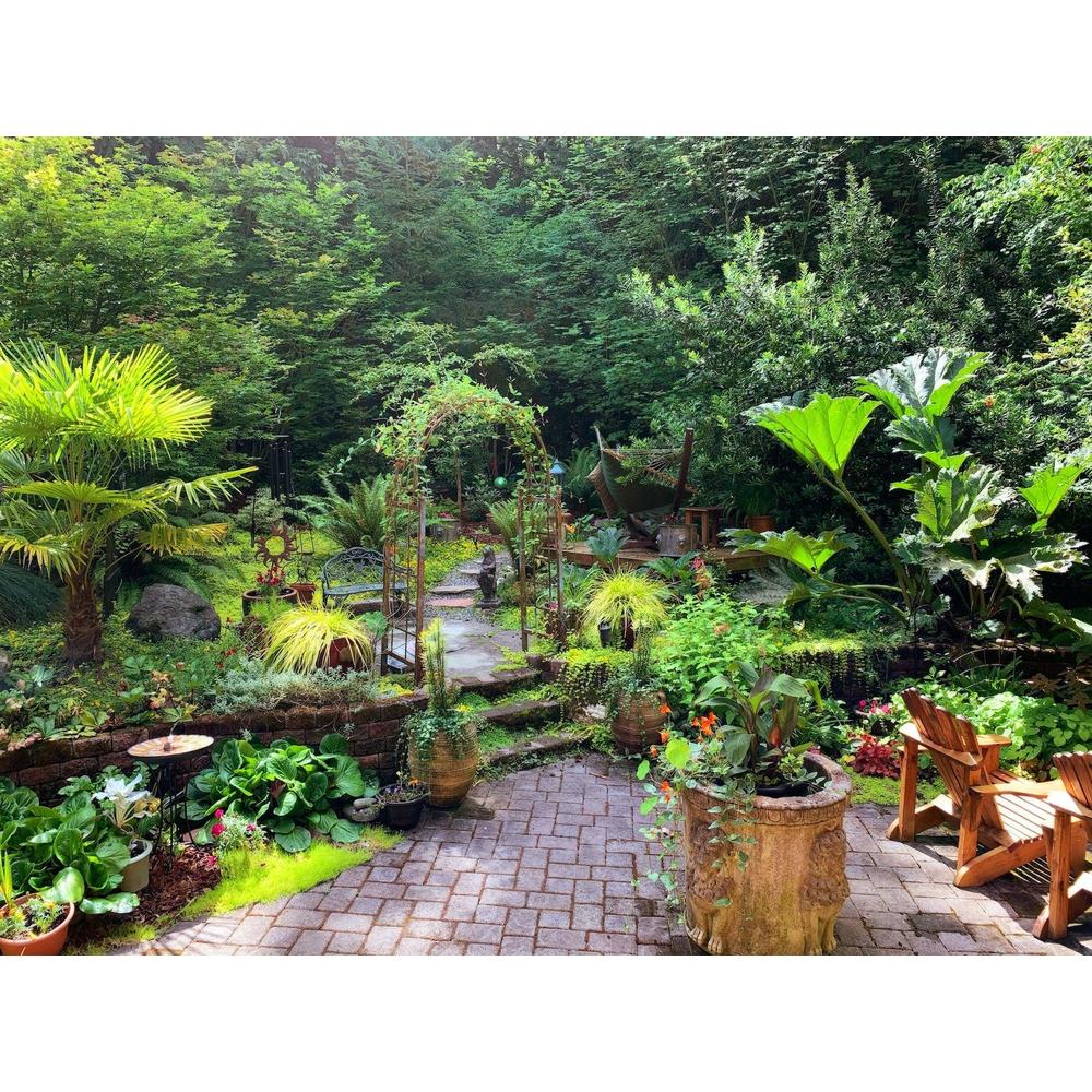 Designing a Backyard Oasis with Brisbane Plant Nursery's Unique Flora and Fauna