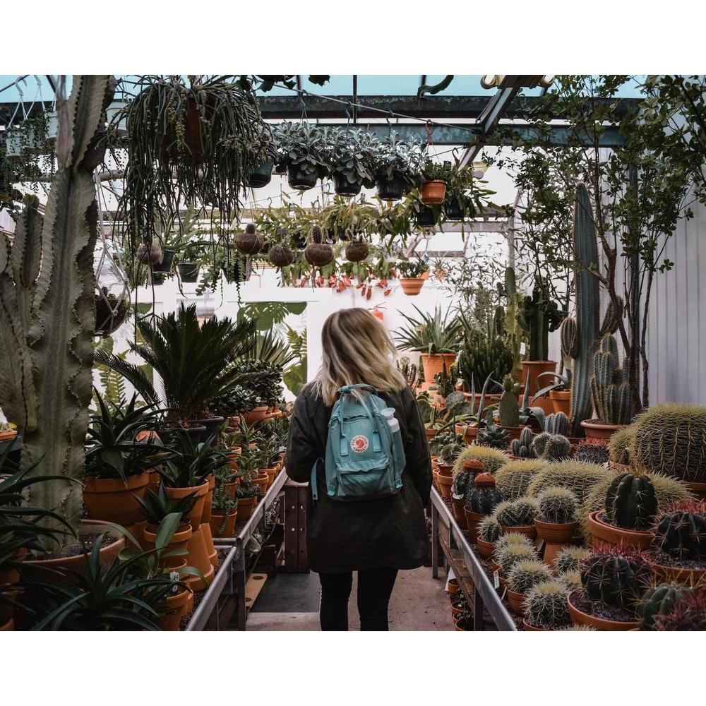 Attract Vibrant Wildlife: Designing a Native Australian Garden with Brisbane Plant Nursery