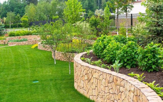 How to Lower Soil pH: A Guide for Healthier Gardens and Lawns
