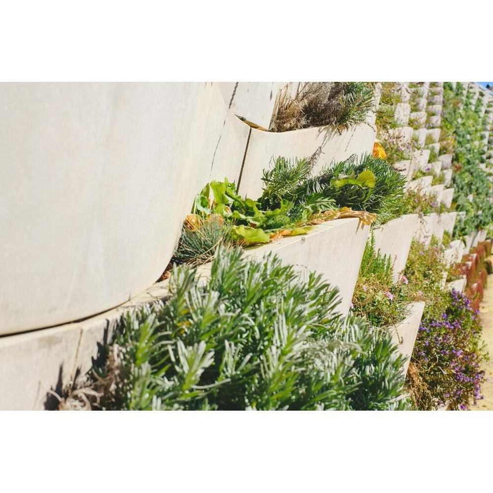 Vertical Gardening: Plants & Design Tips for Limited Spaces