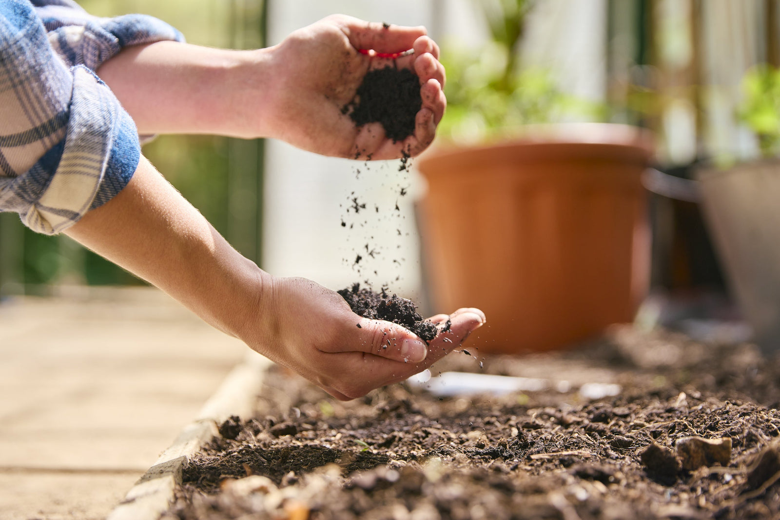 Understanding Soil Health: Tips for Sustainable Gardening