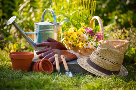 Common Gardening Myths: What You Need to Know