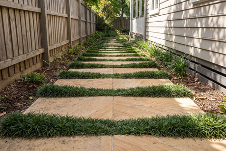 Dwarf mondo grass growing between sandstone stepping pavers on a shaded side path