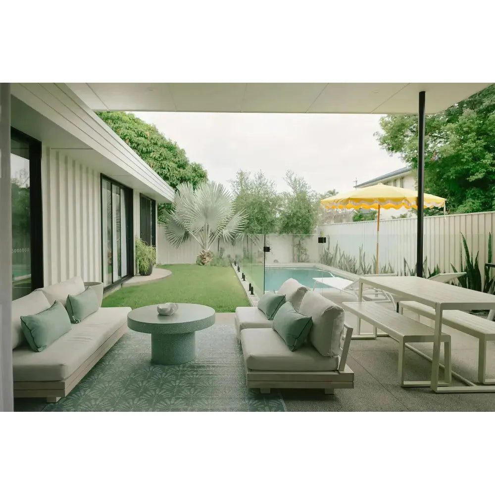 Why Bismarck Palm Makes a Great Feature Tree