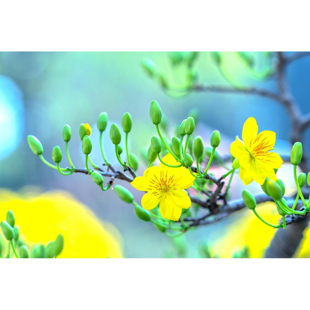 Why 5 reasons your plant isn't blooming could surprise you