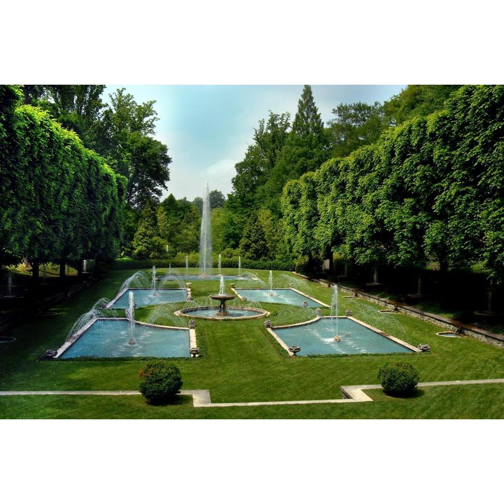 Trees for Year-Round Foliage: A Comprehensive Guide