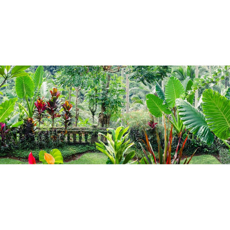 Tropical Gardening: Best Practices for Aussie Green Thumbs
