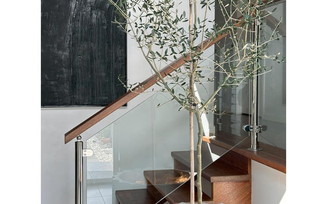 Indoor Plants for Every Room: An Australian Guide