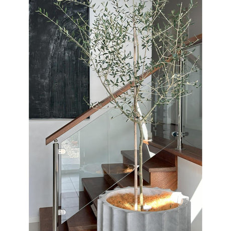 How to Use Plants to Transform Your Space
