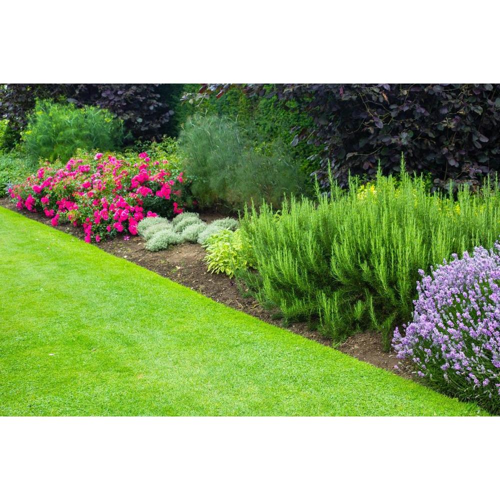 Planting Tips: How to Grow a Beautiful Garden