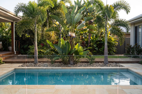 Giant bird of paradise and foxtail palms behind a backyard pool with glass fence and stone paving