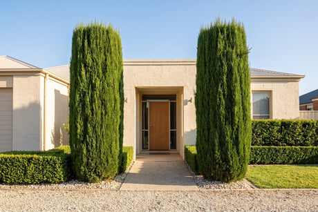 Pair of tall narrow pencil pines framing the entrance of a rendered Australian home