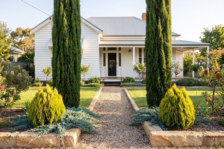 Pencil pines, golden dwarf conifers and creeping juniper framing the path to a weatherboard cottage