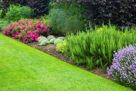 Planting Tips: How to Grow a Beautiful Garden