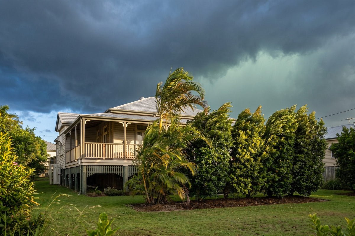 Queenslander back garden with a palm and shrubs bending under a dark approaching summer storm