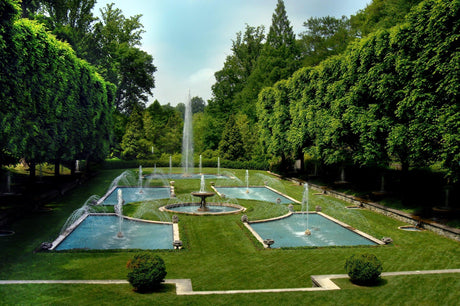 Trees for Year-Round Foliage: A Comprehensive Guide