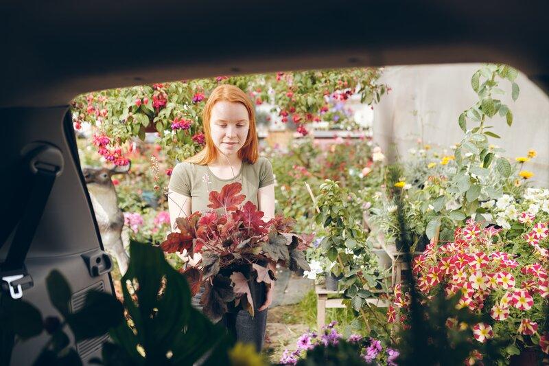 woman in a garden