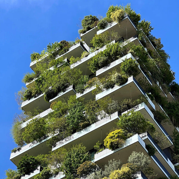 City & Nature-Nursery Near Me