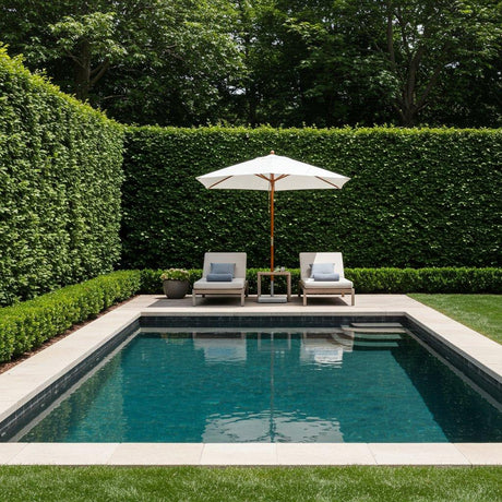 Evergreen Hedging Plants-Nursery Near Me