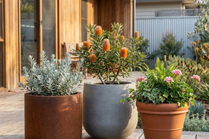 Medium pots