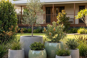 Outdoor pots