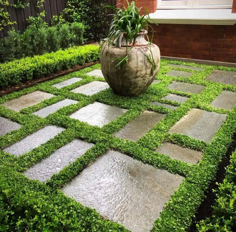 Plant Tiles-Nursery Near Me