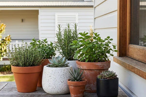 Small pots