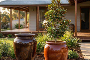 Urns & jars