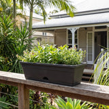 The Charcoal Outdoor Garden Up Pot - 495mm, filled with green plants, is placed on a wooden railing outside a house with a porch.