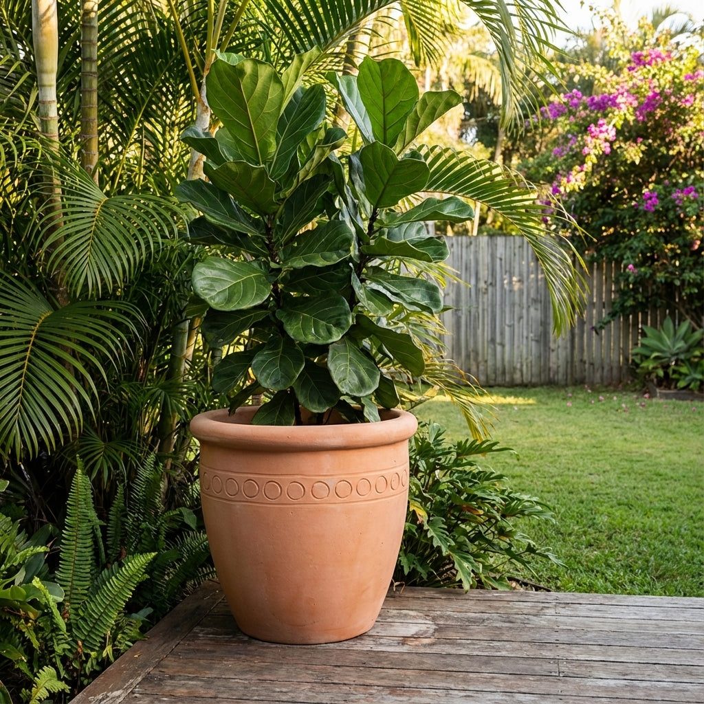 An Extra Large Terracotta Pot (47 x 39cm) sits on a wooden deck, bringing natural style and vibrancy to a lush, green backyard garden.