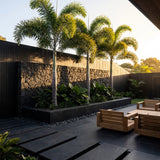Modern patio with wooden chairs, a stone wall, lush tropical landscaping, and Foxtail Palm (Wodyetia Bifurcata) offers a serene sunset retreat. Enjoy vibrant, low-maintenance greenery in this inviting outdoor space.